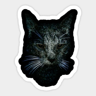 Star Cat Sticker